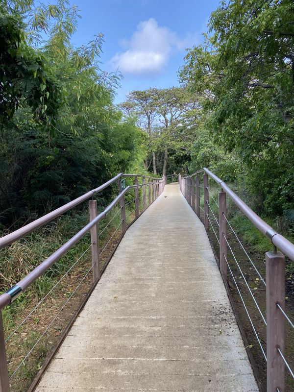 Concrete Walkway Construction