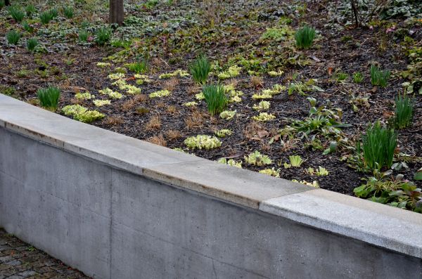 Cost of Concrete Wall Construction in Baton Rouge