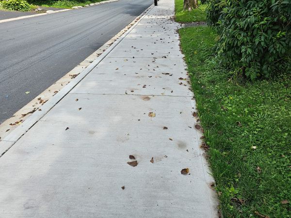 Cost of Sidewalk Renovation in Baton Rouge