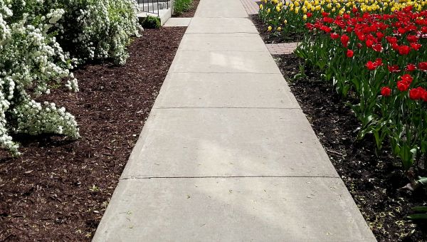 Cost of Cement Sidewalk Installation in Baton Rouge